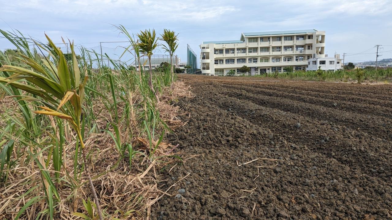 八重瀬町字富盛土地